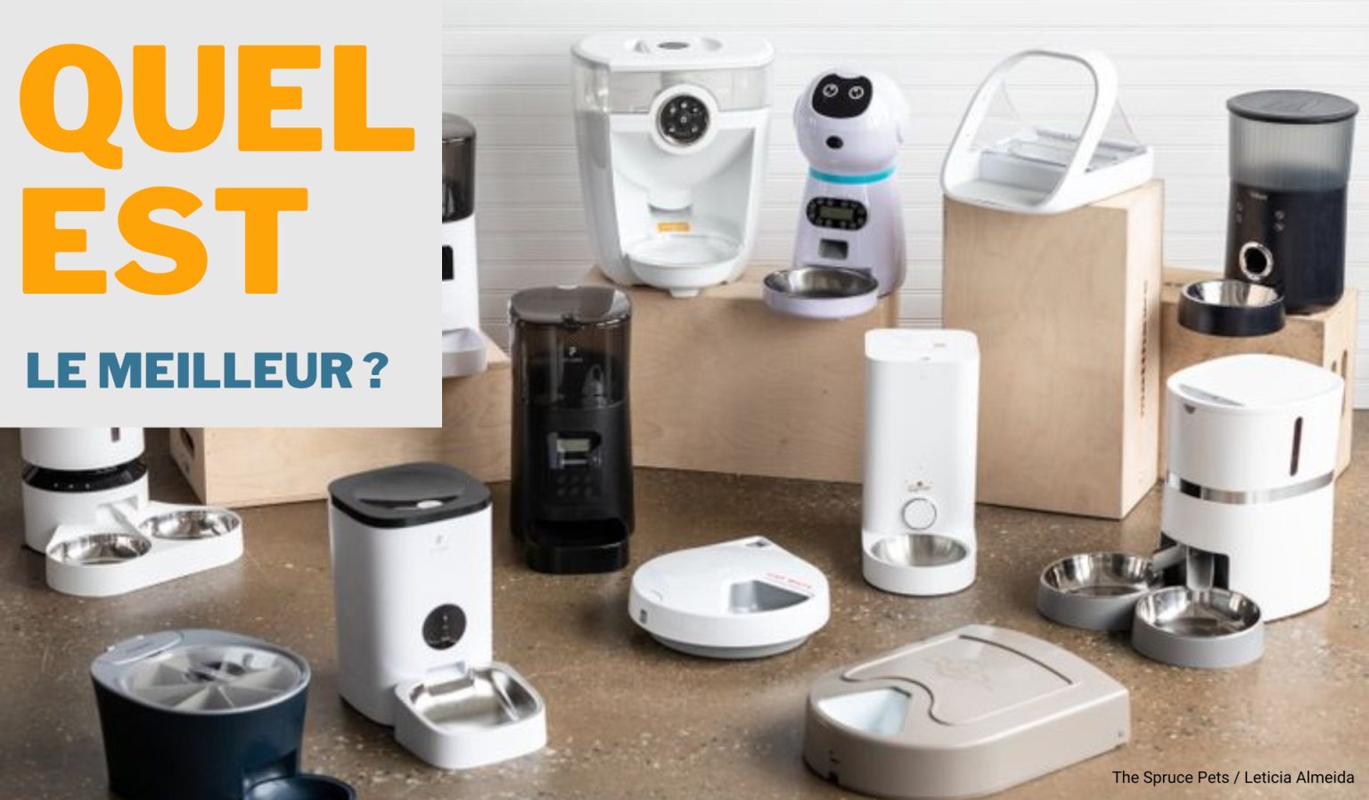 Le meilleur distributeur pour chat