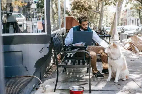 5 conseils pour changer la routine de votre chien