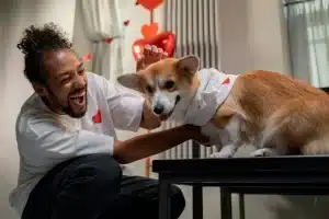 comment faire un body pour chien avec un tee shirt