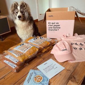 box pour animaux