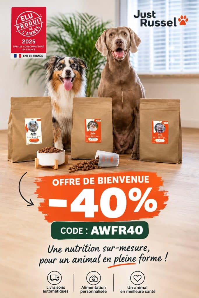 Just Russel : offre de bienvenue -40 % avec le code AWFR40