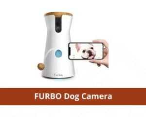 Furbo dog camera