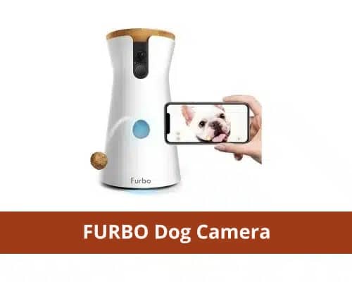 Furbo Dog Camera