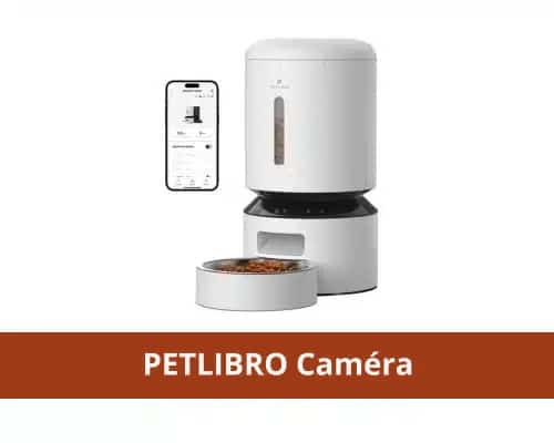 Petlibro, distributeur croquettes pour chat avec vidéo