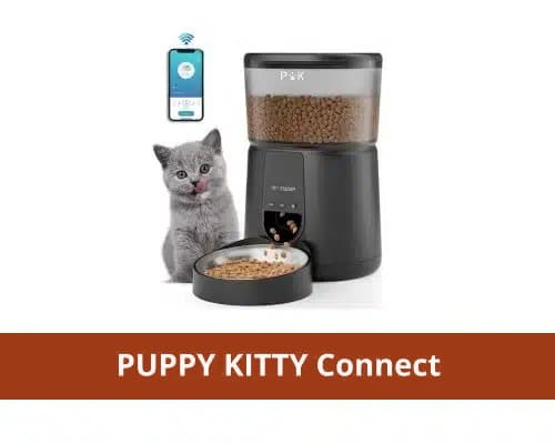 Le distributeur croquette chat connecté application