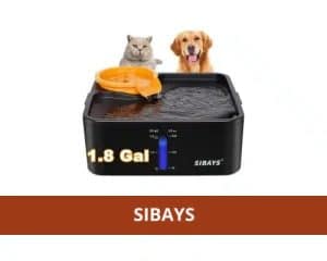 distributeur eau pour chien sibays
