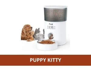 distributeur puppy kitty