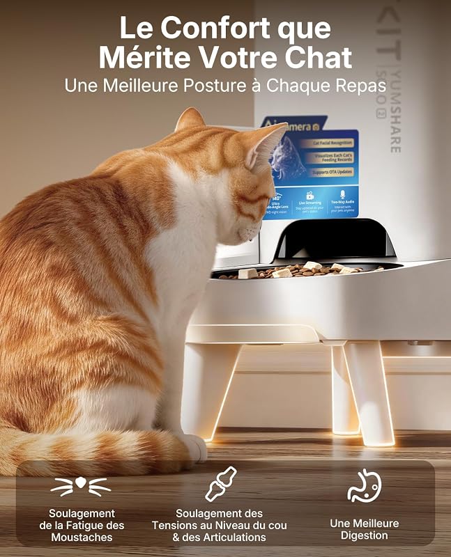 Chat mangeant dans le PETKIT YumShare Solo 2 installé sur son socle surélevé