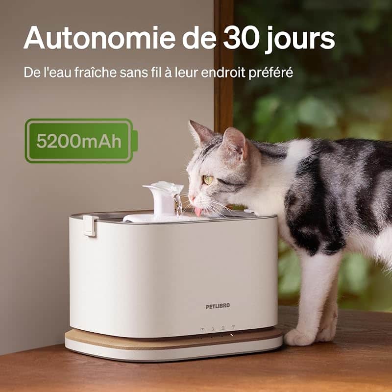 Chat buvant à la fontaine PETLIBRO Dockstream 2 sur batterie