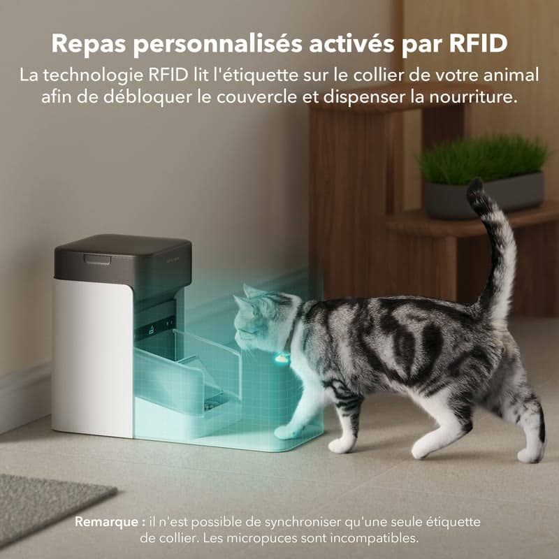 Chat devant le Petlibro One RFID dont le couvercle s'ouvre grâce au médaillon RFID
