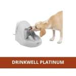 Avis PetSafe Drinkwell Platinum 5 L