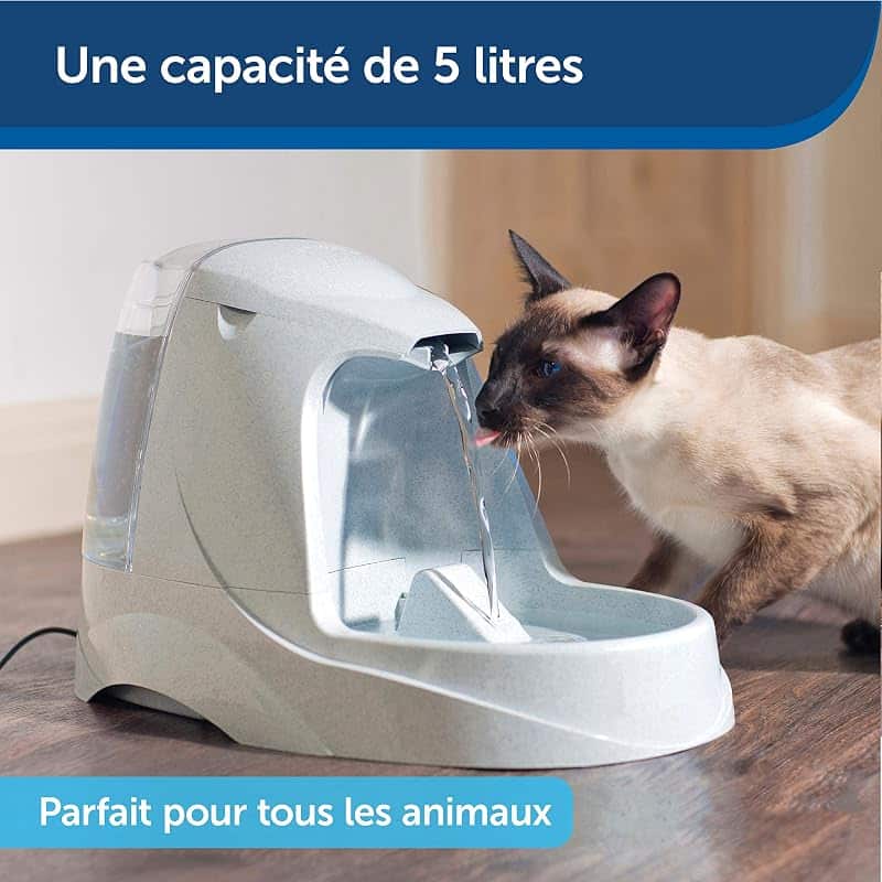 Chat buvant à la grande fontaine PetSafe Drinkwell Platinum de 5 litres