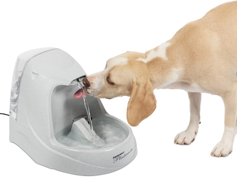 Chien buvant à la fontaine PetSafe Drinkwell Platinum 5 litres