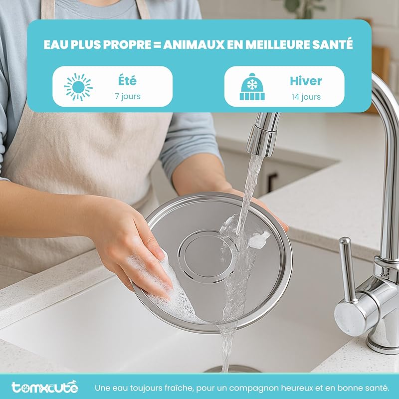 Nettoyage du bac en inox de la fontaine TOMXCUTE