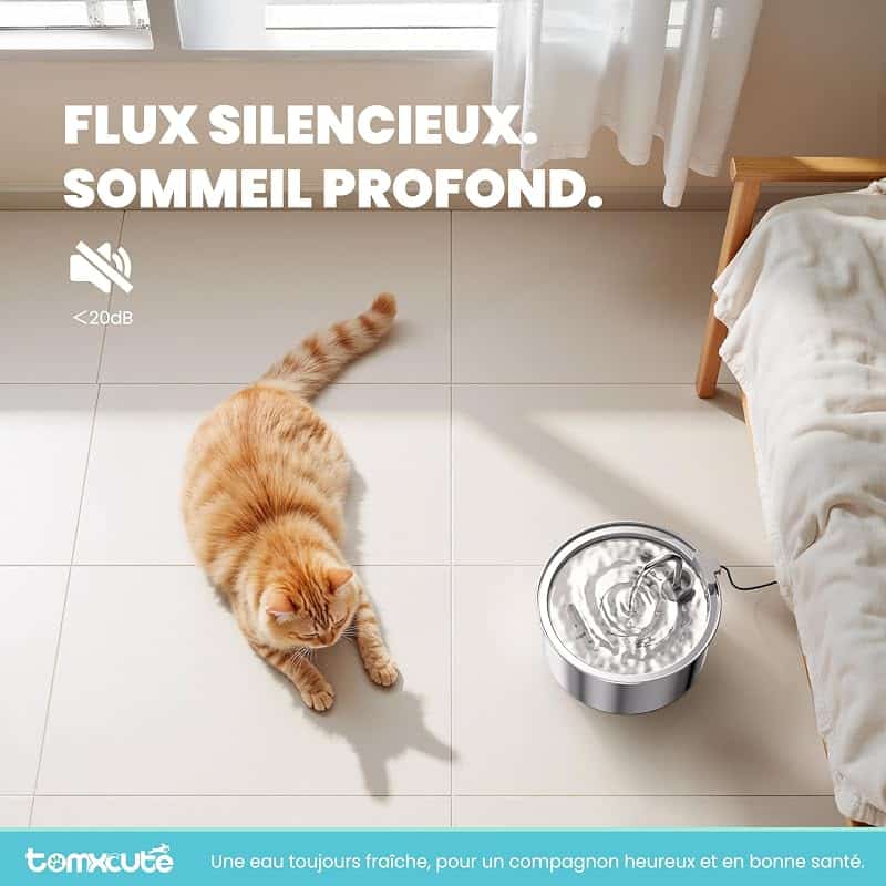 Chat endormi près de la fontaine silencieuse TOMXCUTE